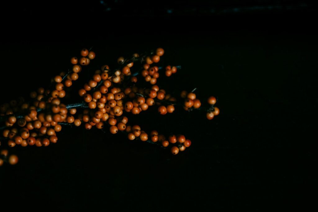 kelly sikkema f3w2vzozcoy unsplash